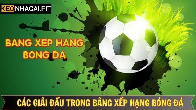 Mọi giải đấu quan trọng đều có mặt trong BXH của Kèo Nhà Cái