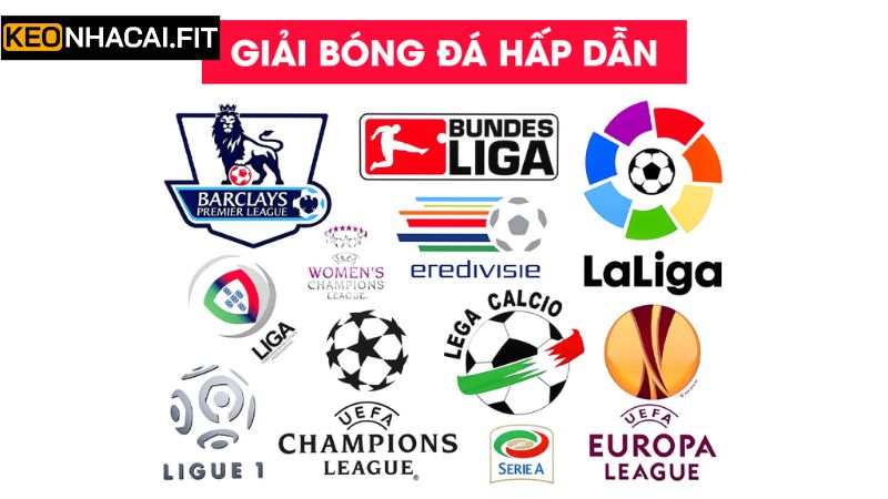 Lịch diễn ra các giải đấu được nhiều người quan tâm 