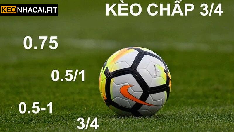 Kèo Chấp 0.75 - Cách Đọc Và Bí Quyết Soi Kèo Toàn Thắng 3 Bí quyết đọc và tiền tiền kèo chấp 0.75 Bí quyết đọc và tiền tiền kèo chấp 0.75