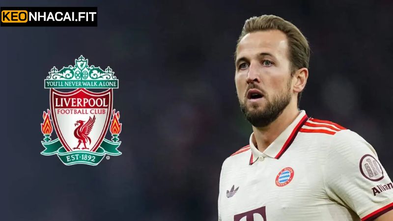 Harry Kane Tìm Đường Về Liverpool Gây Chấn Động Lớn 4 Những tác động của việc chàng cầu thủ quay về với Liverpool
