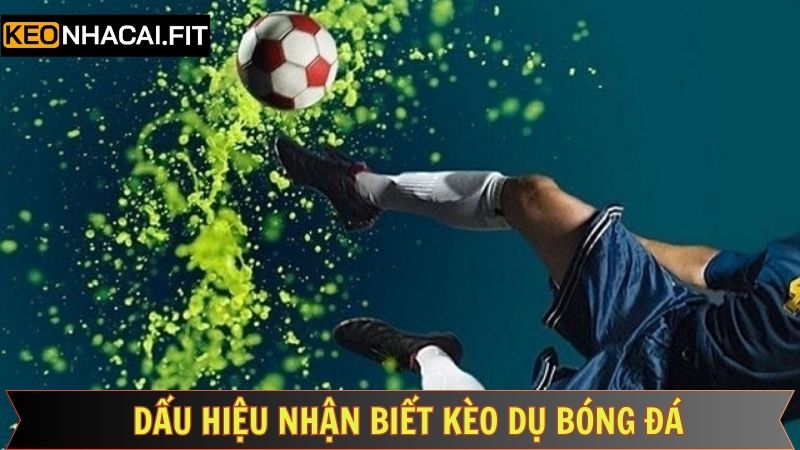 Những dấu hiệu giúp nhận diện kèo dụ bóng đá chính xác