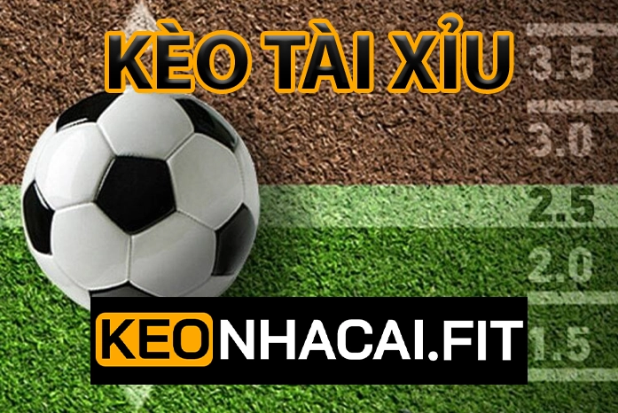Kèo Nhà Cái - Tỷ Lệ Kèo Nhà Cái 5 Hôm Nay - Keonhacai Trực Tuyến 21 Kèo Tải Xỉu