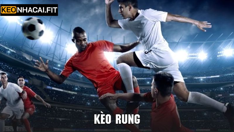 Kèo Rung - Cách Bắt Kèo Hiệu Quả Cho Người Chơi Mới 4 Những điều cần quan tâm khi đặt kèo rung