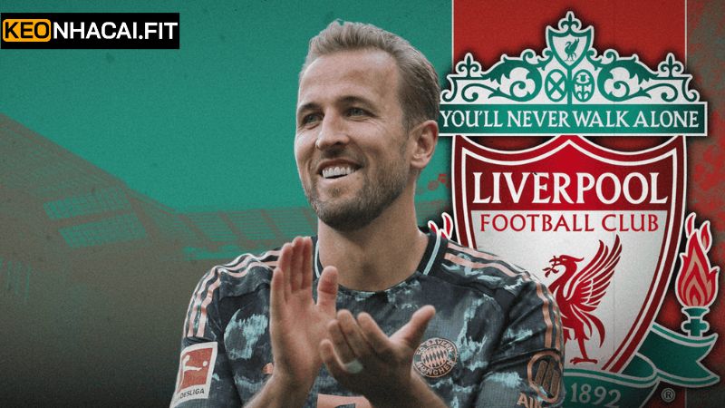Harry Kane Tìm Đường Về Liverpool Gây Chấn Động Lớn 3 Những lý do cần thiết khi Harry Kane tìm đường về Liverpool