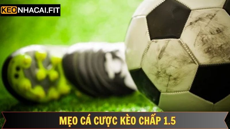 Kèo Chấp 1.5 - Lựa Chọn Hoàn Hảo Cho Dân Cá Cược Bóng Đá 4 Chiến thuật soi kèo chuẩn xác để luôn giành lợi thế