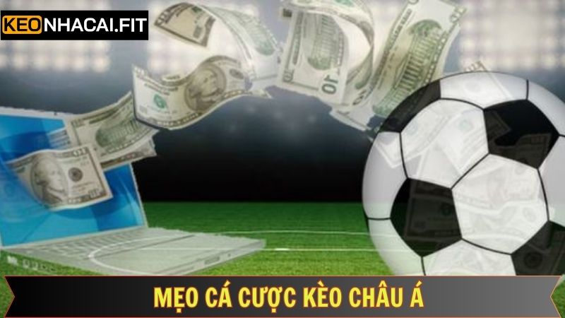 Kèo Châu Á - Xu Hướng Cá Cược Hot Và Mới Nhất Năm 2025 4 Bỏ túi vài tips chơi kèo châu Á chỉ thắng không thua