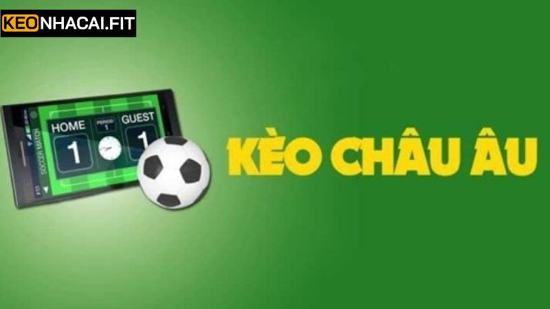 Kèo Châu Âu - Thể Loại Cược Hấp Dẫn Nhất Tại Kèo Nhà Cái 4 Một số chiến lược tham gia cá độ thành công tại sân chơi
