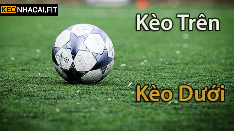Kèo Trên Kèo Dưới - Cơ Hội Nhận Thưởng Thú Vị Và Nổi Trội 4 Các chiến lược để tham gia đem về nhiều khoản lợi nhuận cao