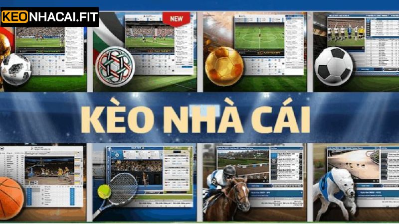 Giới Thiệu Kênh Cung Cấp Thông Tin Uy Tín Kèo Nhà Cái 2 Những dịch vụ nổi bật trên hệ thống Kèo Nhà Cái
