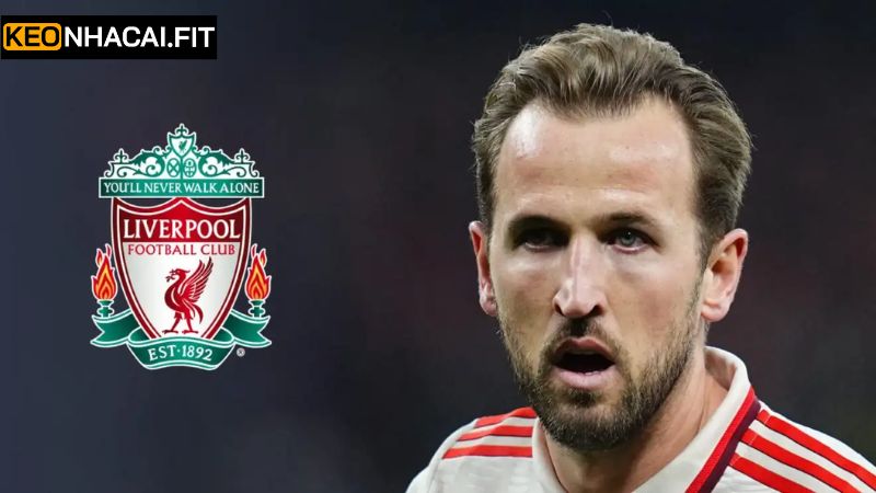Harry Kane Tìm Đường Về Liverpool Gây Chấn Động Lớn 2 Giới thiệu về Harry Kane khi muốn về Liverpool
