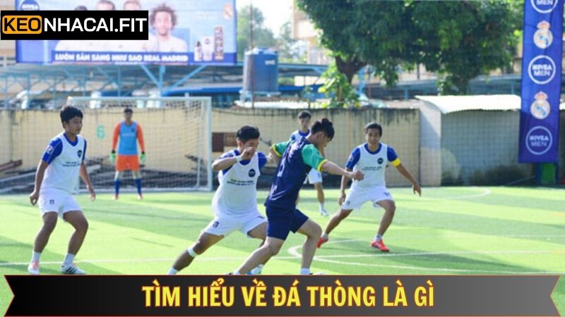 Điểm qua đôi nét cơ bản về đá thòng 