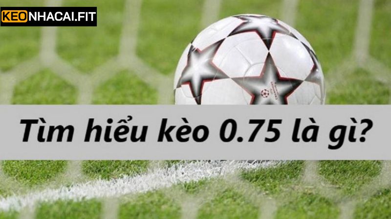 Kèo Chấp 0.75 - Cách Đọc Và Bí Quyết Soi Kèo Toàn Thắng 2 Thông tin cơ bản về kèo chấp 3/4 trái trong cá độ bóng đá