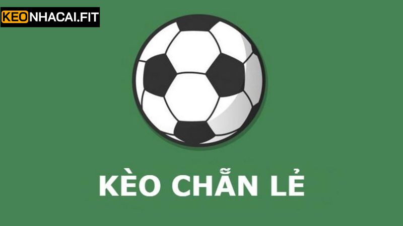 Khám phá đôi chút về cược chẵn lẻ