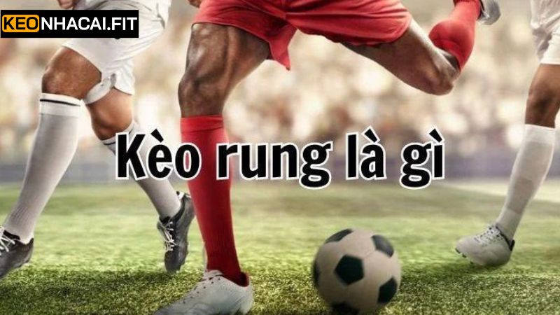 Kèo Rung - Cách Bắt Kèo Hiệu Quả Cho Người Chơi Mới 2 Tổng quát thông tin về hình thức rung kết quả