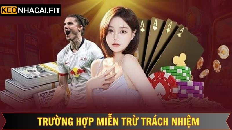 Miễn Trừ Trách Nhiệm - Cập Nhật Đầy Đủ Quy Định Mới Nhất 3 Miễn trách nhiệm khi thành viên mắc lỗi chính tả