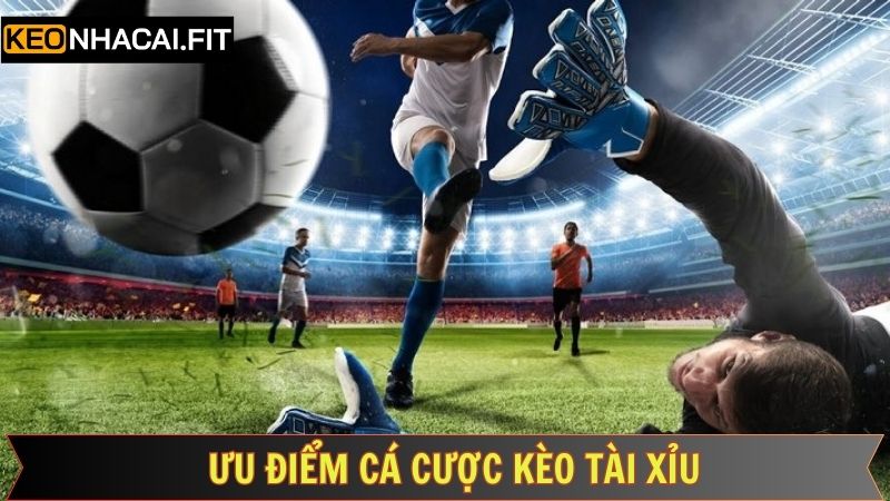 Khám phá những ưu điểm tuyệt vời của cược tài xỉu được đánh giá cao