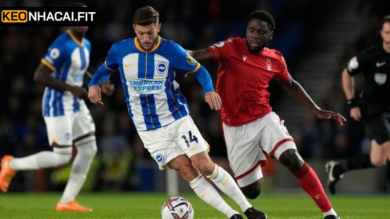 Soi Kèo Brighton Hove Albion Vs Nottingham Forest 00h15 Ngày 30/3 4 Phân tích Soi kèo Brighton Hove Albion vs Nottingham Forest