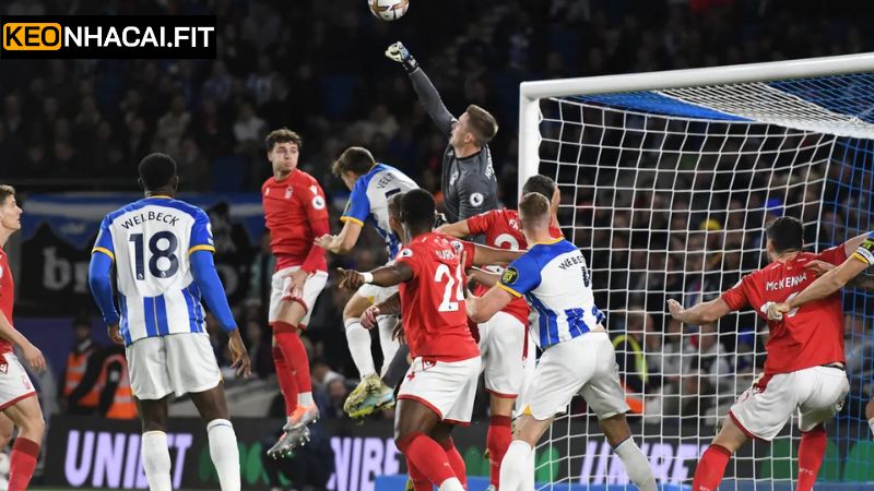 Soi Kèo Brighton Hove Albion Vs Nottingham Forest 00h15 Ngày 30/3 2 Khái quát về phong độ gần nhất của hai đội
